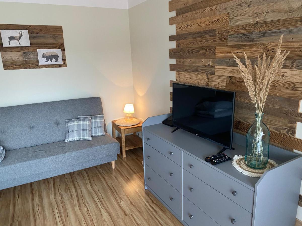 Apartamenty Przy Strumyku Шавница Экстерьер фото