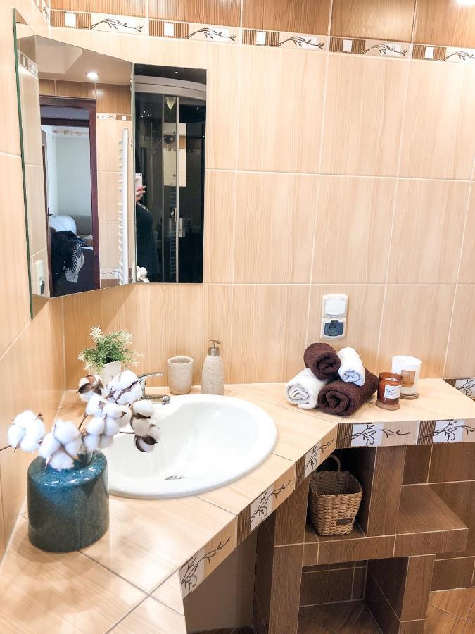 Apartamenty Przy Strumyku Шавница Экстерьер фото